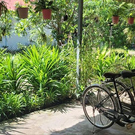 The Purple House Daire Siem Reap Dış mekan fotoğraf