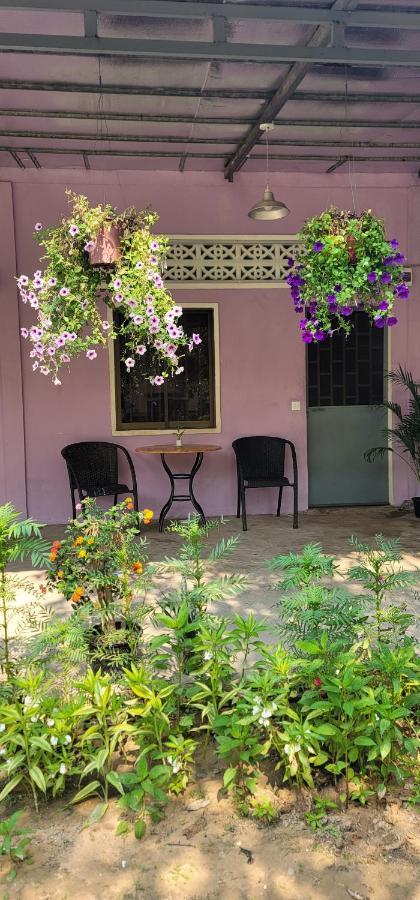 The Purple House Daire Siem Reap Oda fotoğraf